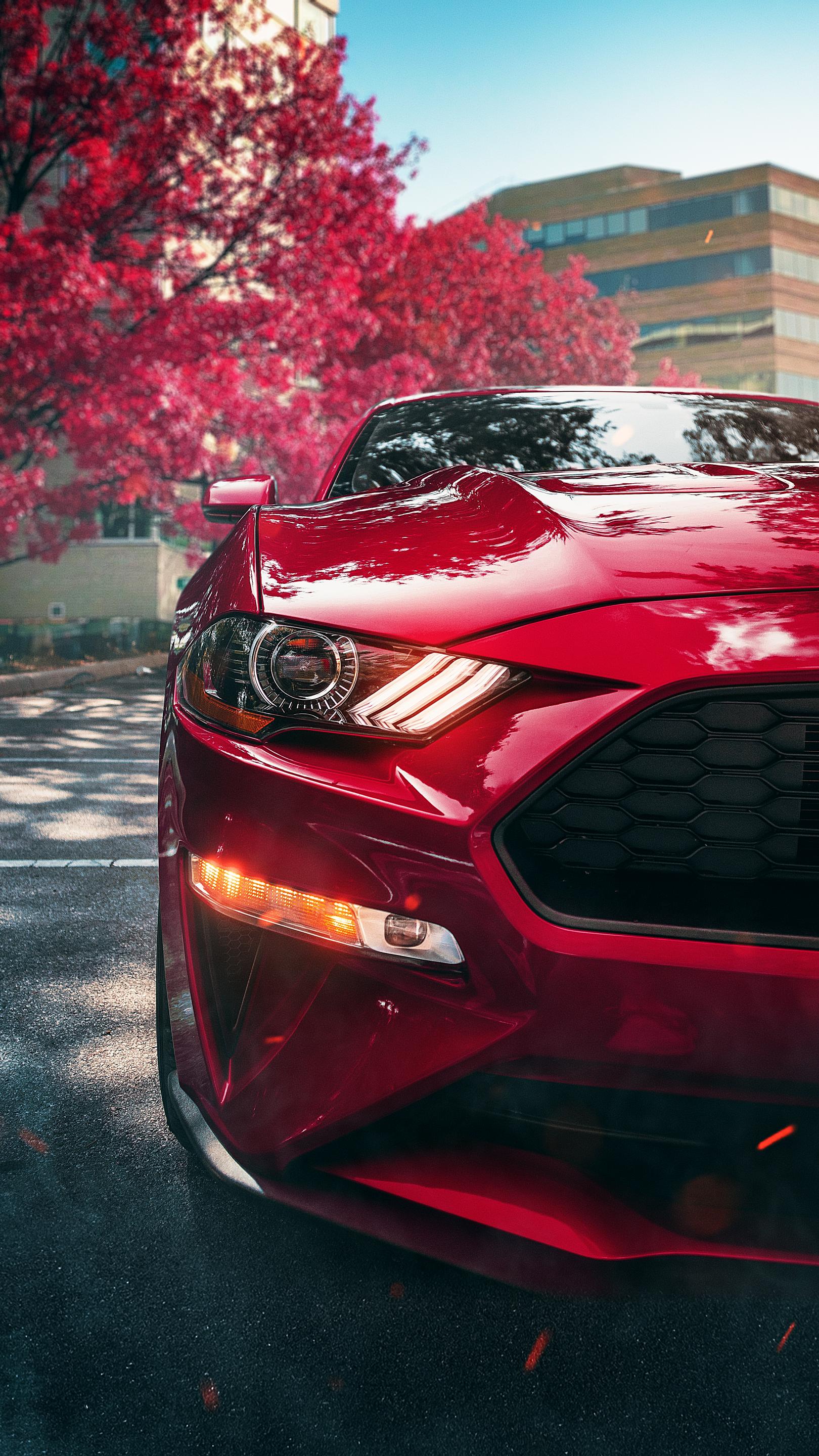 Mustang_Car_HD